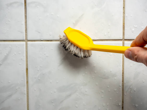 Best Mold Testing  in Clifton, AZ