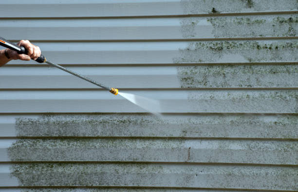 Best Commercial Mold Removal  in Clifton, AZ