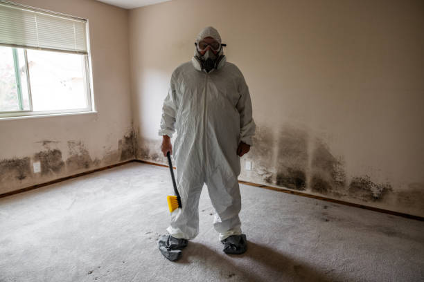 Best Crawl Space Mold Removal  in Clifton, AZ